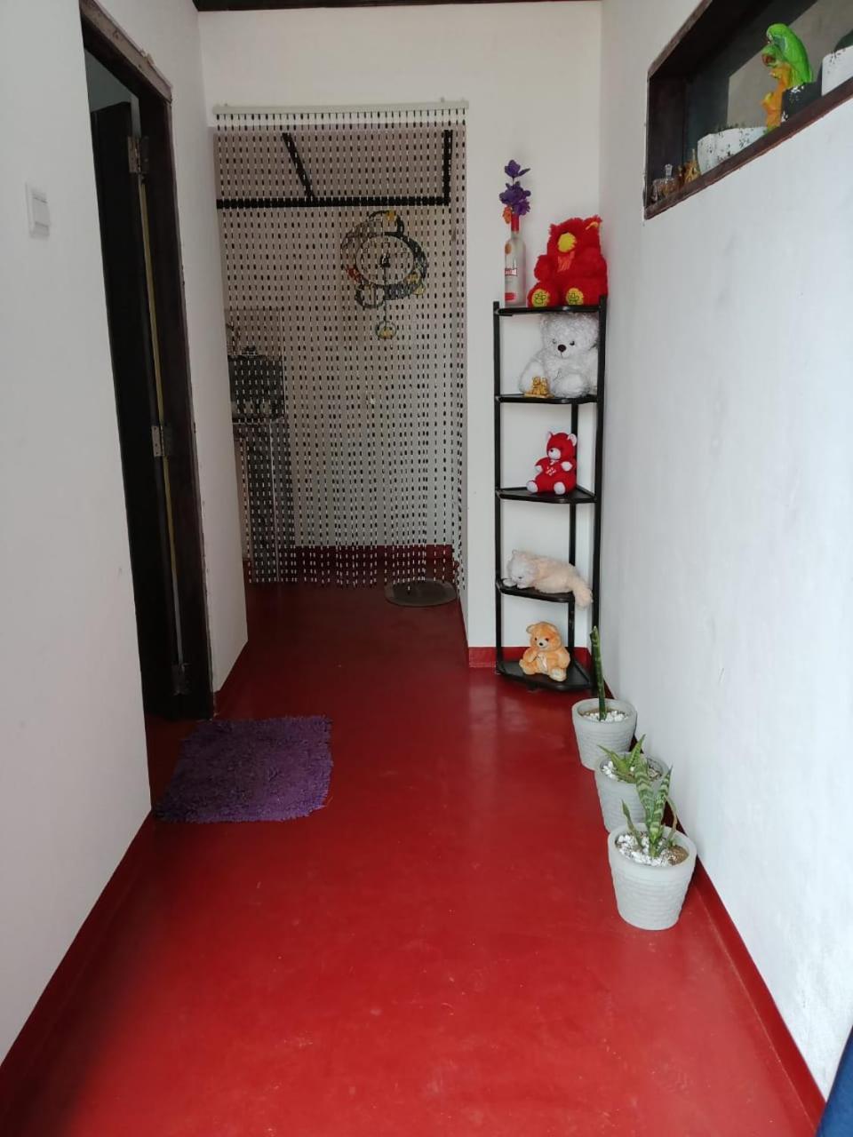 Aloka Home Stay 努沃勒埃利耶 外观 照片