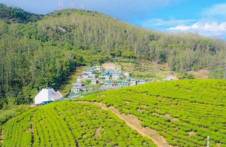 Aloka Home Stay 努沃勒埃利耶 外观 照片